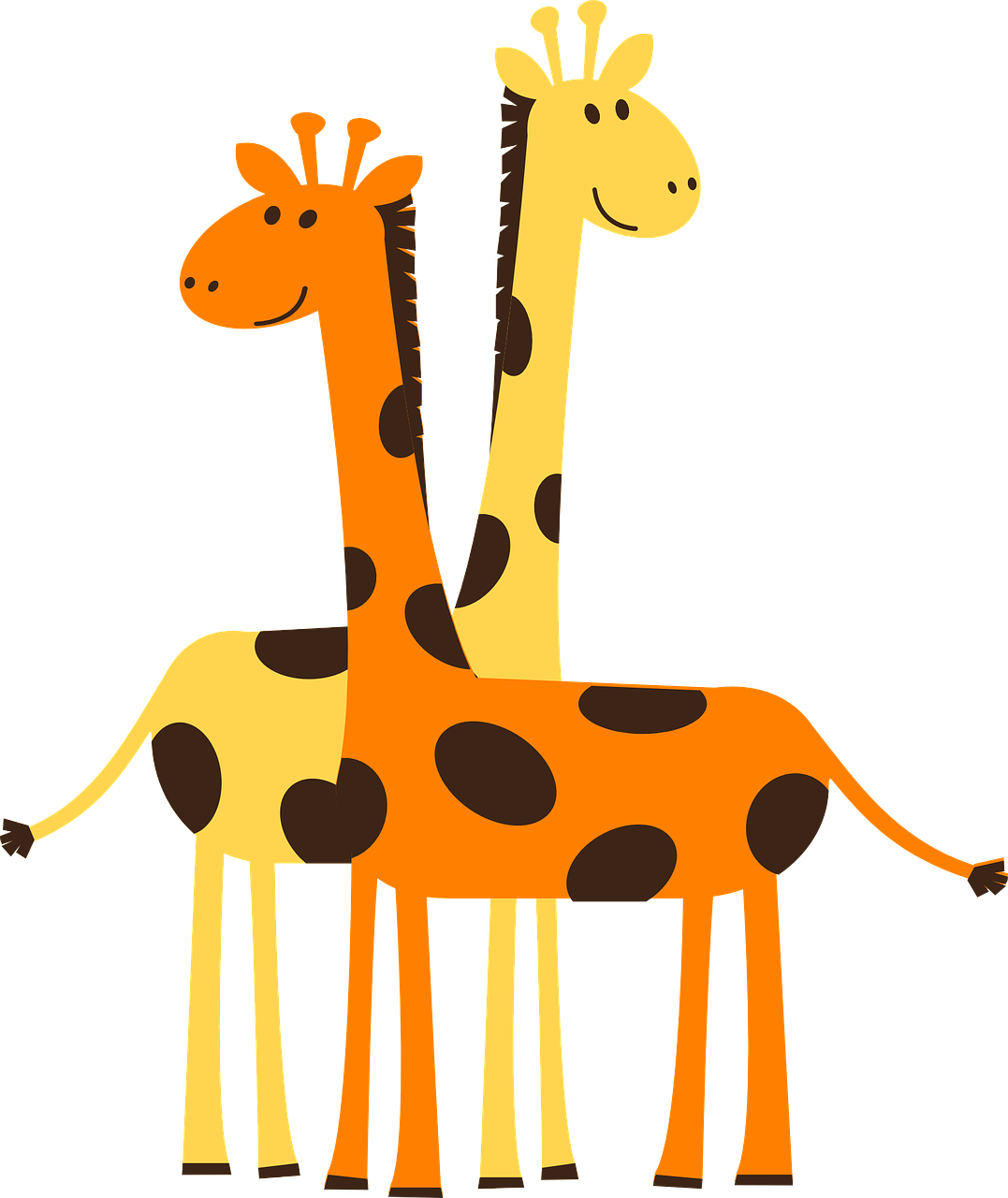 Two giraffes image